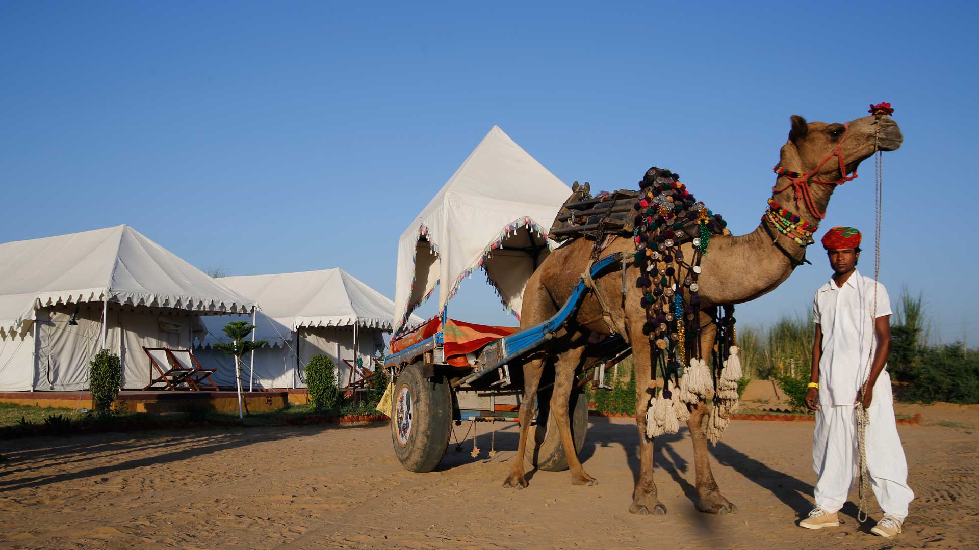 Spiritual Tours in India with Camel Safari Tours in India